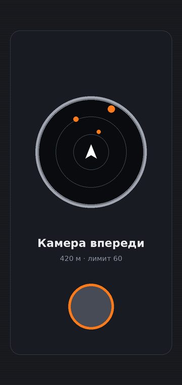 Камера впереди